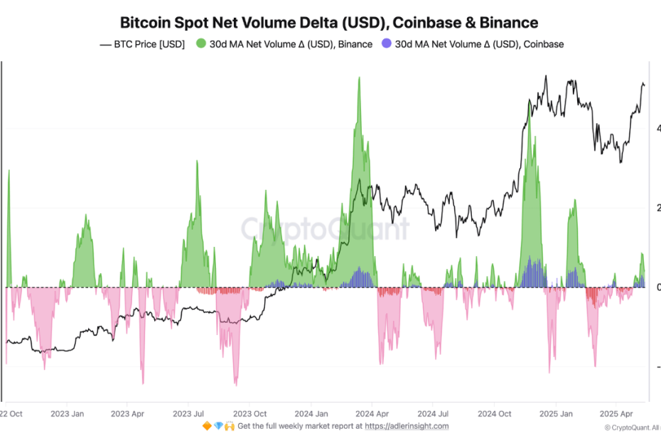 Bitcoin Market Update: Spot Demand Climbs As Short-Term Profits Lose Steam