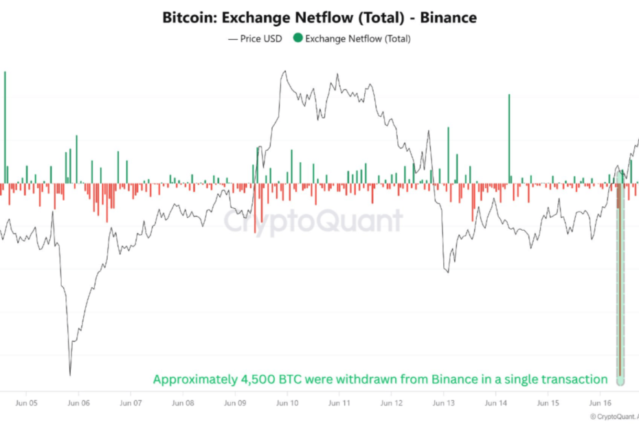 Bitcoin Whales Pull 4,500 BTC From Binance, Hinting At Incoming Rally