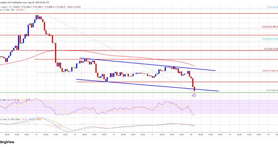 Bitcoin Price Extends Losses, Can Buyers Prevent a Major Breakdown?