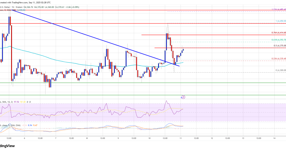 Ethereum Price Gathers Strength – Will a Fresh Increase Come Next?