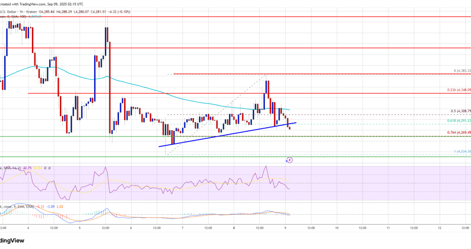 Ethereum Price Struggles Badly – More Downside Risk if Support Fails