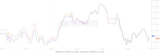 XRP Millionaires Dump After Major Accumulation Trend, Will It Be A Red September?