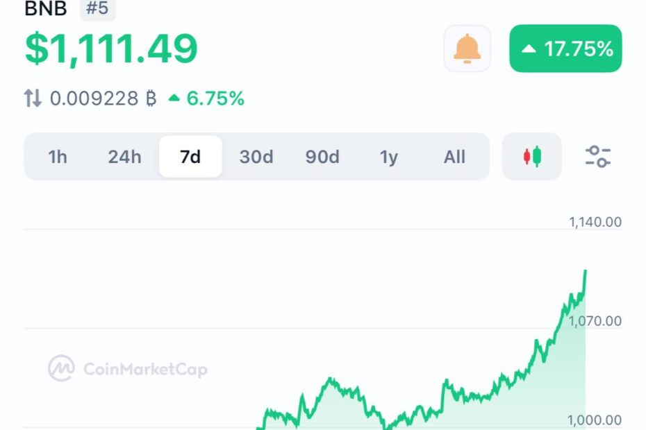 BNB Reaches $1,111 All-Time High: Altseason Signal?