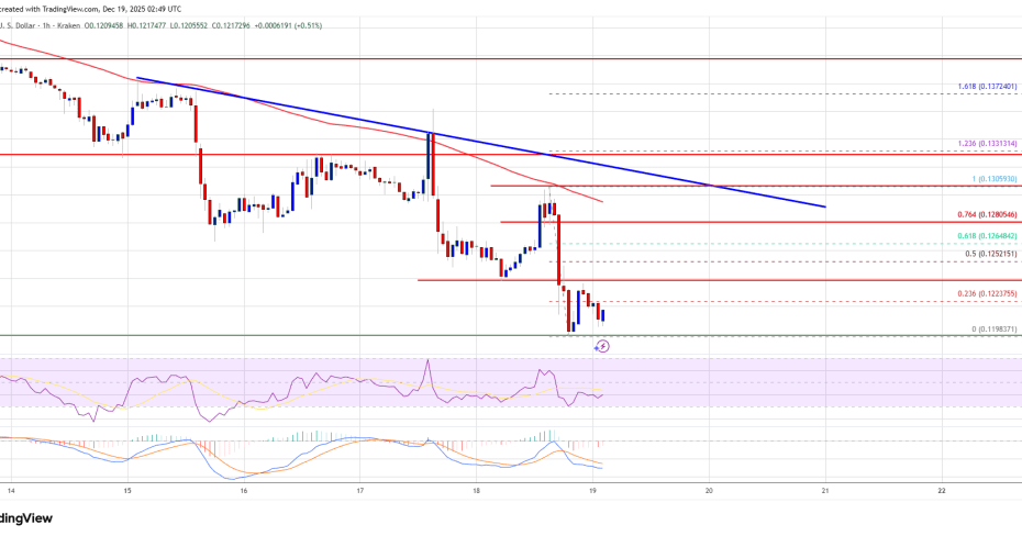 Dogecoin (DOGE) Sinks Further Into Red as Momentum Turns Sharply Bearish