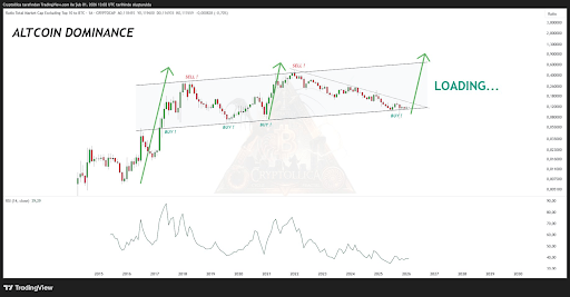 Altcoins Are Not Dead? Analyst Says That ‘The Spring Is Loading’