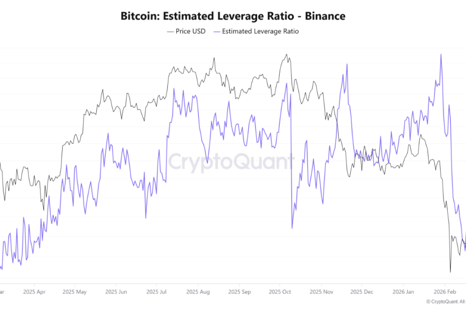 Bitcoin Market Resets With 28% Deleveraging — What Next?