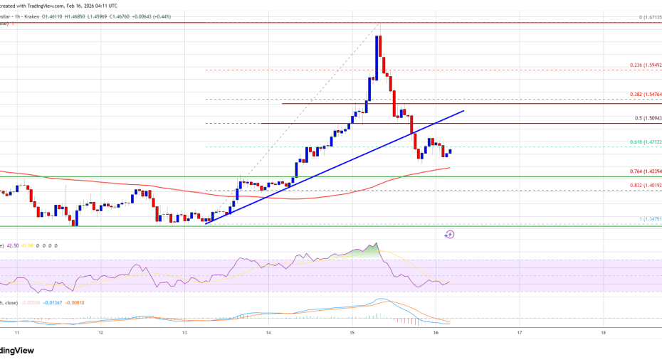 XRP Price Trims Gains After Explosive Rally, Momentum Cools