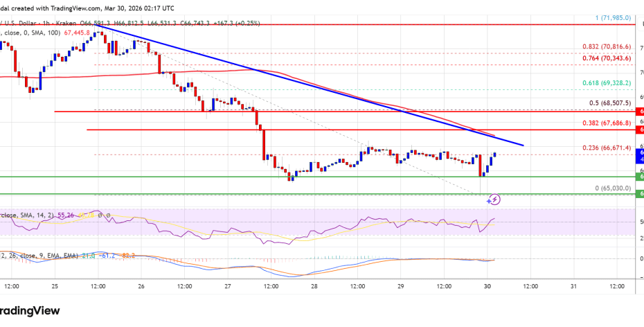Bitcoin Price Stalls Under $68,800, Resistance Caps Upside Again