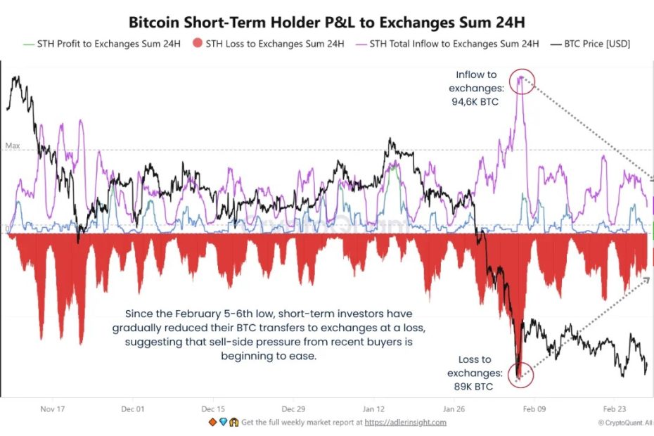 Bitcoin STH Holds Steady: No Panic Amid Middle East Conflict – Details