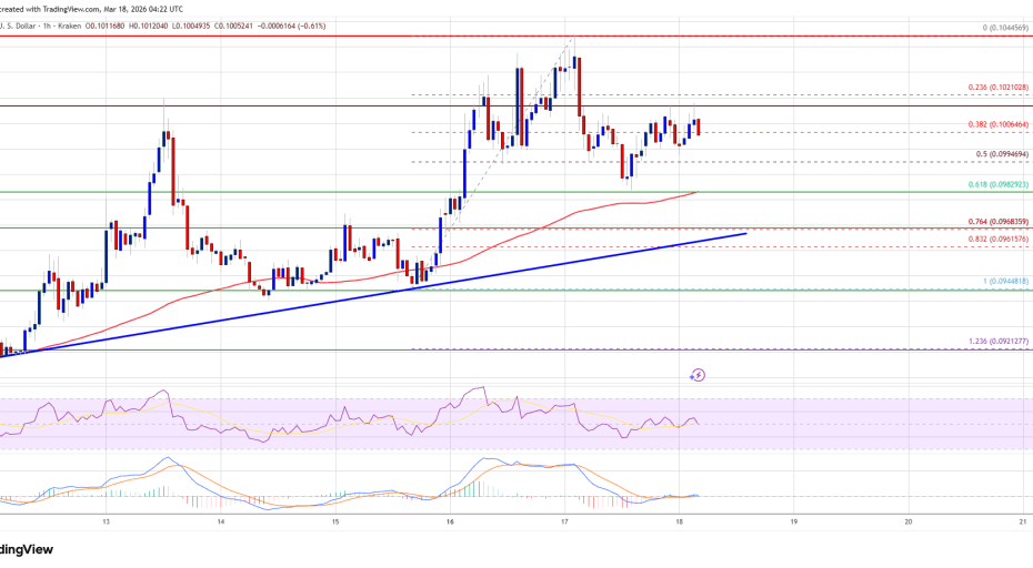 Dogecoin (DOGE) Retraces Gains — Bulls Guard Key Support Zone