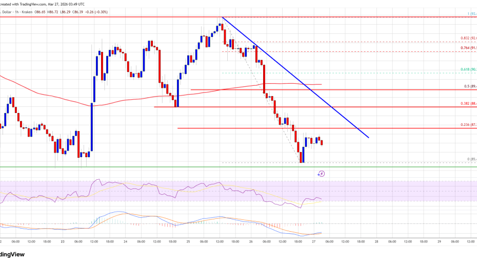 Solana (SOL) Hits Key Support, Will Bulls Hold the Line?