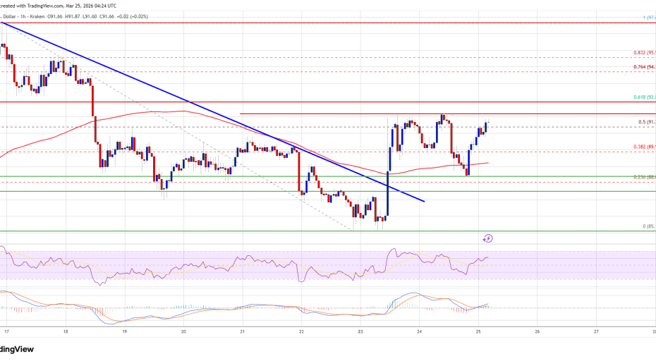 Solana (SOL) Recovery Firms, Bulls Prepare for Stronger Upside Push
