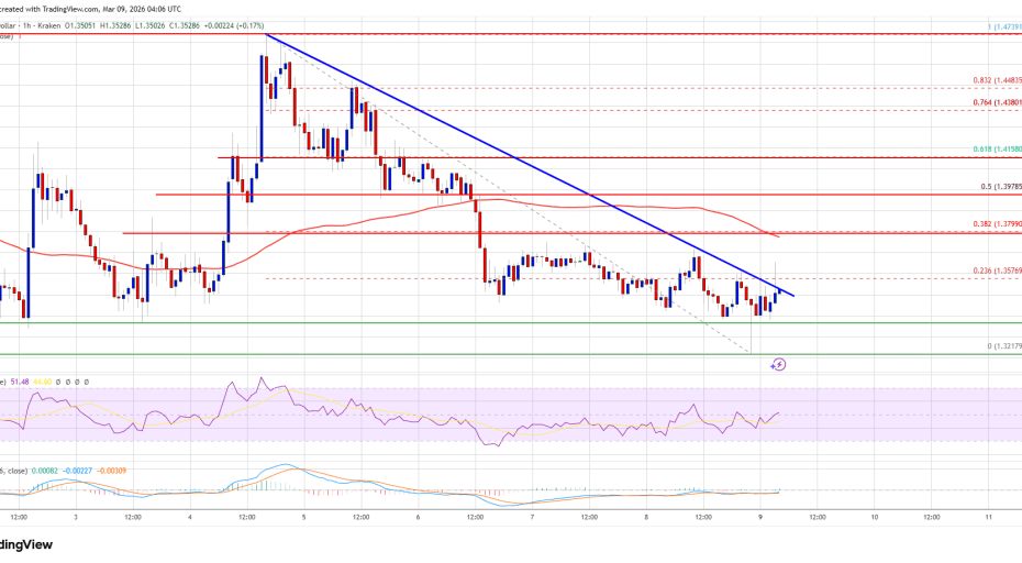 XRP Price Sets Stage for Comeback — Recovery Wave Incoming?