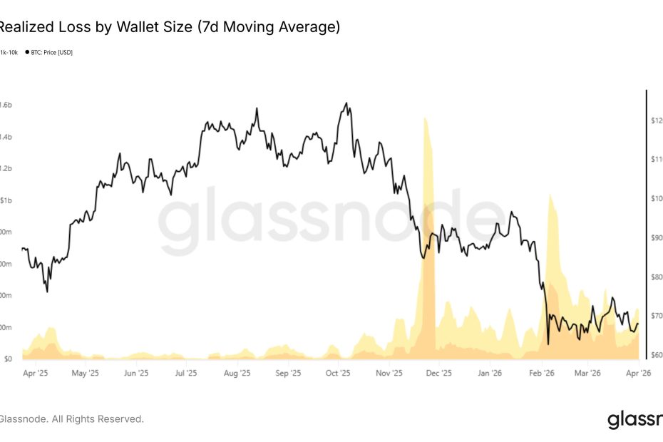 Bitcoin Sharks & Whales Capitulate: Realized Loss Exceeds $200M