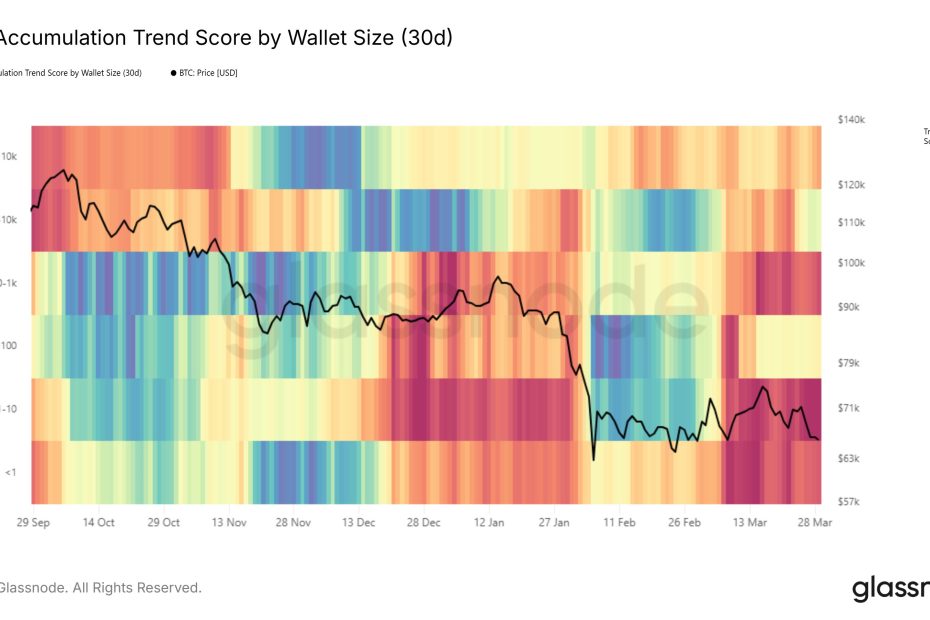 Recent Bitcoin Rally Saw Retail Shift To Selling, Glassnode Reveals