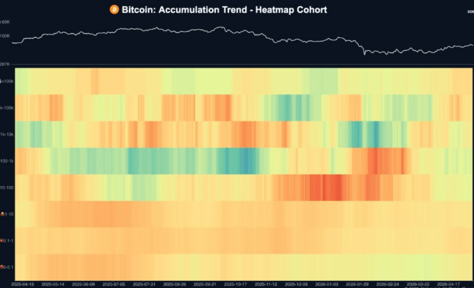 Nearly 80% Of Bitcoin Supply Hasn’t Moved As Long-Term Holders Tighten Grip